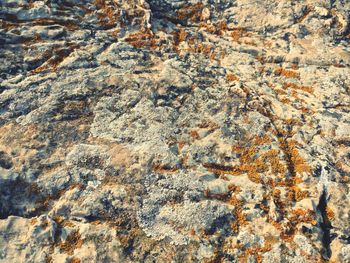 Full frame shot of water on rock