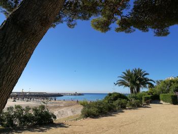 Scenic view of beach against clear blue sky