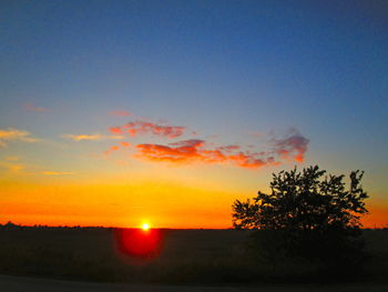 Silhouette trees on field against sky at sunset