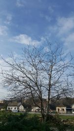 Bare trees on grassy field against sky