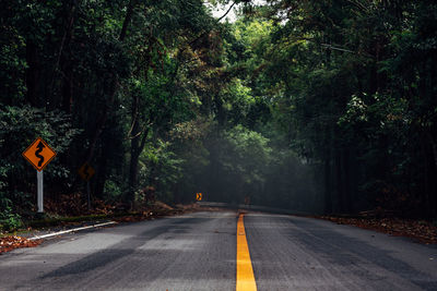 Road sign by trees in forest