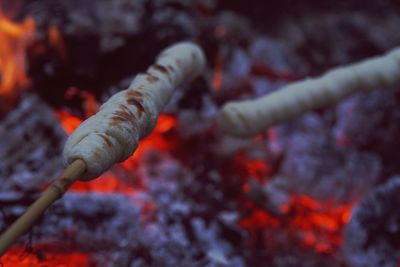 Close-up of bonfire on tree