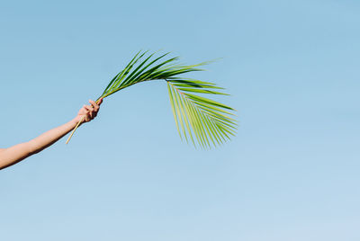 Low angle view of hand holding leaf against sky