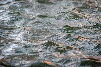 Full frame shot of water surface