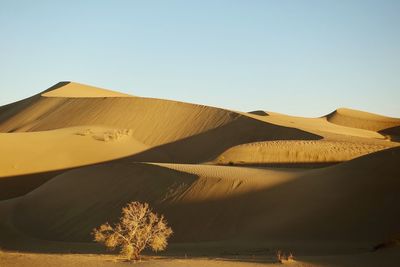 Scenic view of desert against clear sky