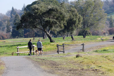 Rear view of men walking by trees