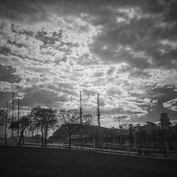 Trees against cloudy sky