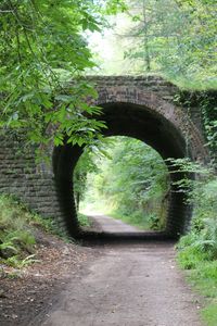 Tunnel with trees in background