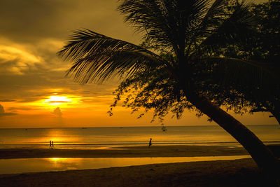 Silhouette palm trees on beach against sky during sunset