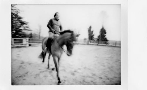 Close-up of horse running on snow covered landscape