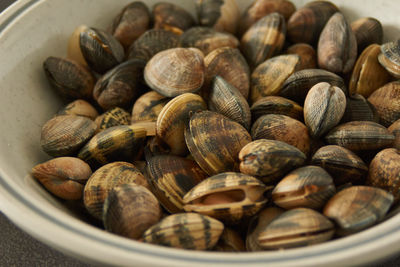 High angle view of shells in container