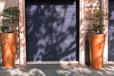 Potted plants at the entrance of stores. windows gate covering the display