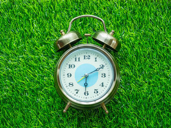 View of clock on field