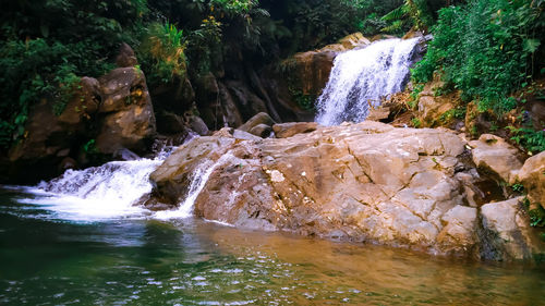 Scenic view of waterfall in forest