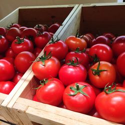 High angle view of tomatoes in crate