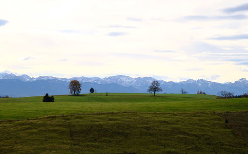 Scenic view of field against sky