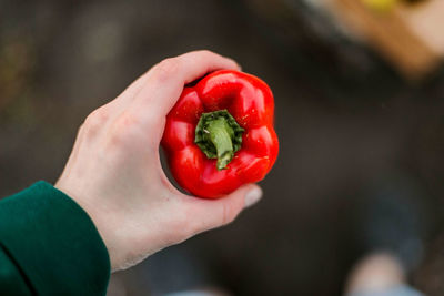 Close-up of hand holding bell