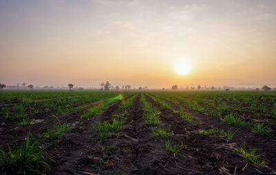 Scenic view of field against sky during sunset