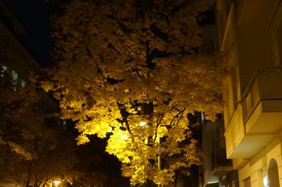 Low angle view of lamp post at night