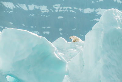 Aerial view of frozen sea