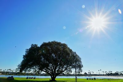 Low angle view of trees against clear blue sky