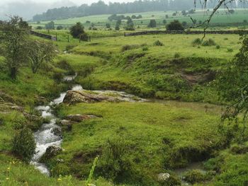 Scenic view of waterfall