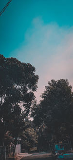 Low angle view of trees against sky in city