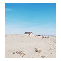 Dogs on beach against clear sky