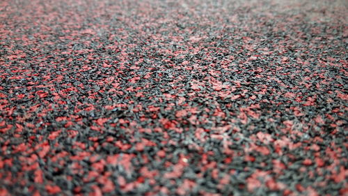 Full frame shot of red leaves