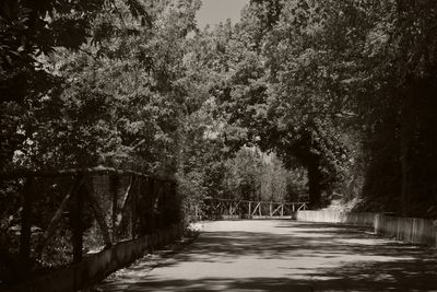 Road amidst trees against sky during winter