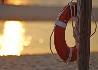 Life belt hanging on wood at beach