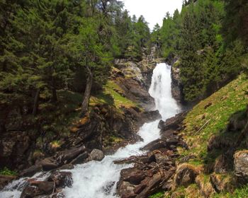 Scenic view of waterfall in forest