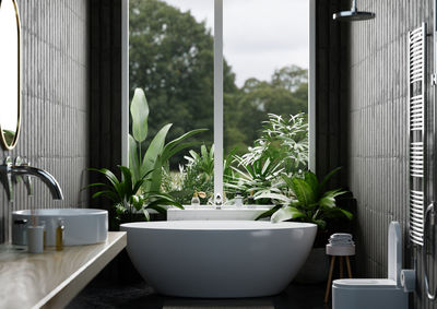 Potted plants on window sill