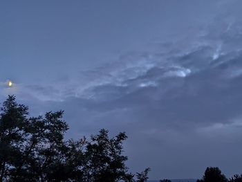 Low angle view of silhouette trees against sky