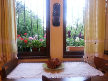 Potted plants on table at home