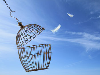 Feathers moving out of cage against blue sky