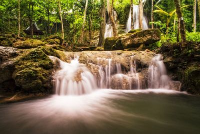 Scenic view of waterfall in forest