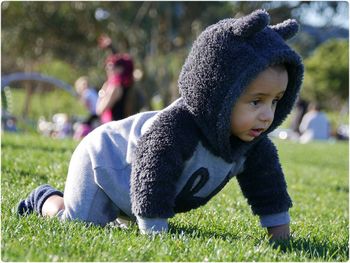 Portrait of boy on field