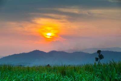 Scenic view of field against sky during sunset