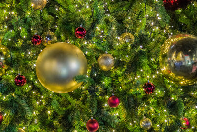 Close-up of christmas tree