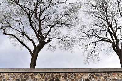 Low angle view of bare trees against sky