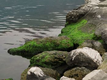 Scenic view of rocks by lake