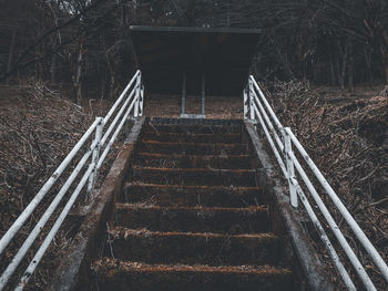 High angle view of staircase in forest