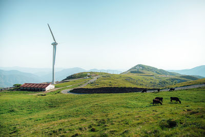 Scenic view of field against clear sky