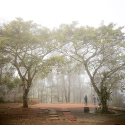 View of trees on landscape against sky