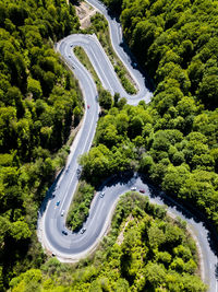High angle view of highway amidst trees