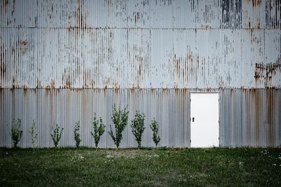 Old barn on field against wall