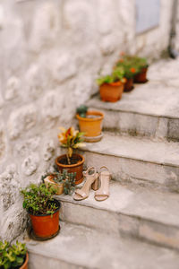 High angle view of potted plants on footpath