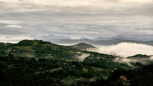 Scenic view of landscape against sky