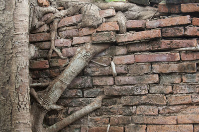 Close-up of stone wall